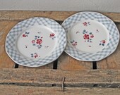 pair of French plates with gingham borders and pink flowers by  Digoin Sarreguemines