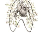 5x7" PRINT of original watercolor "Baby's Breath"- painting, art, anatomy, floral, lungs, heart, valentine