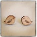 Bird earrings - wooden eco friendly wood bird studs earrings