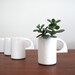 Modernist Espresso Cups