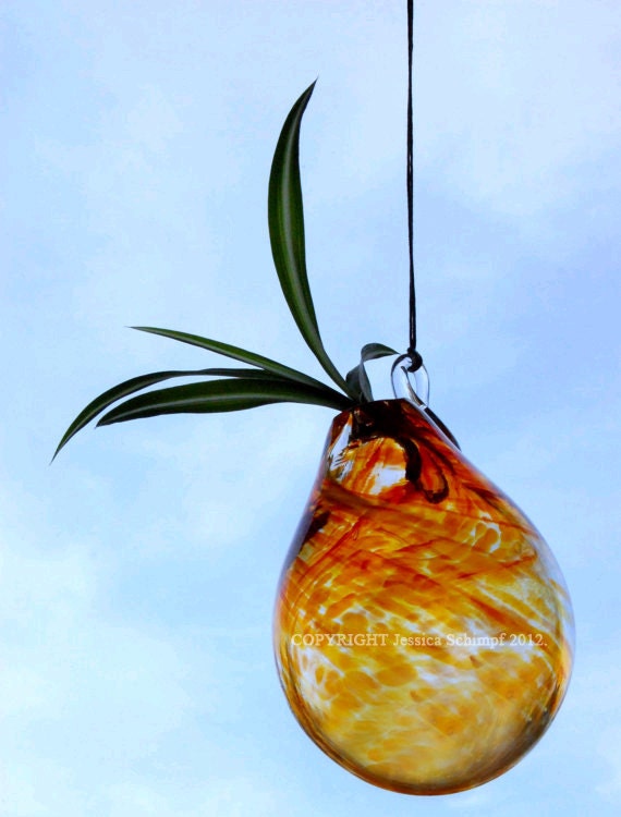 M Orange Spider Planter