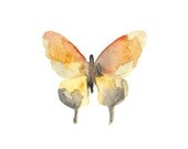 Watercolor Butterfly Print.  5 x 7 Butterfly Print.