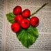 Vintage Millinery Cherries: Regency Victorian Bonnet, Hat, Fruit