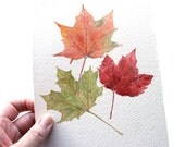 Original Watercolor Painting 'Maple Leaves' - Woodland, Autumn, Fall Foliage, Nature Study, Watercolour, Red, Orange, Green, Yellow