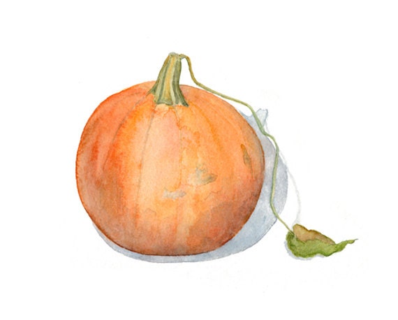 Pumpkin Watercolor Painting - Art Print - Thanksgiving Holiday, Harvest, Fall, Autumn, Food, Kitchen Art, Still Life, Orange - Watercolour