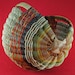 Scottish Yarn Basket