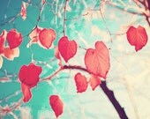 Fall photography, photography, sprig, love, mint, turquoise, red, pink, flower, floral print, nature photography
