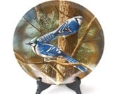 Porcelain Collectible Plate "The Blue Jay" Encyclopedia Britannica Birds of Your Garden by Kevin Daniels