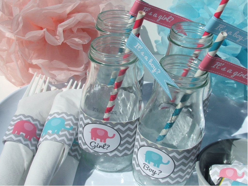 Gender Reveal Party Decorations Baby Shower Pink Blue Elephant DIY Printable- Instant Download