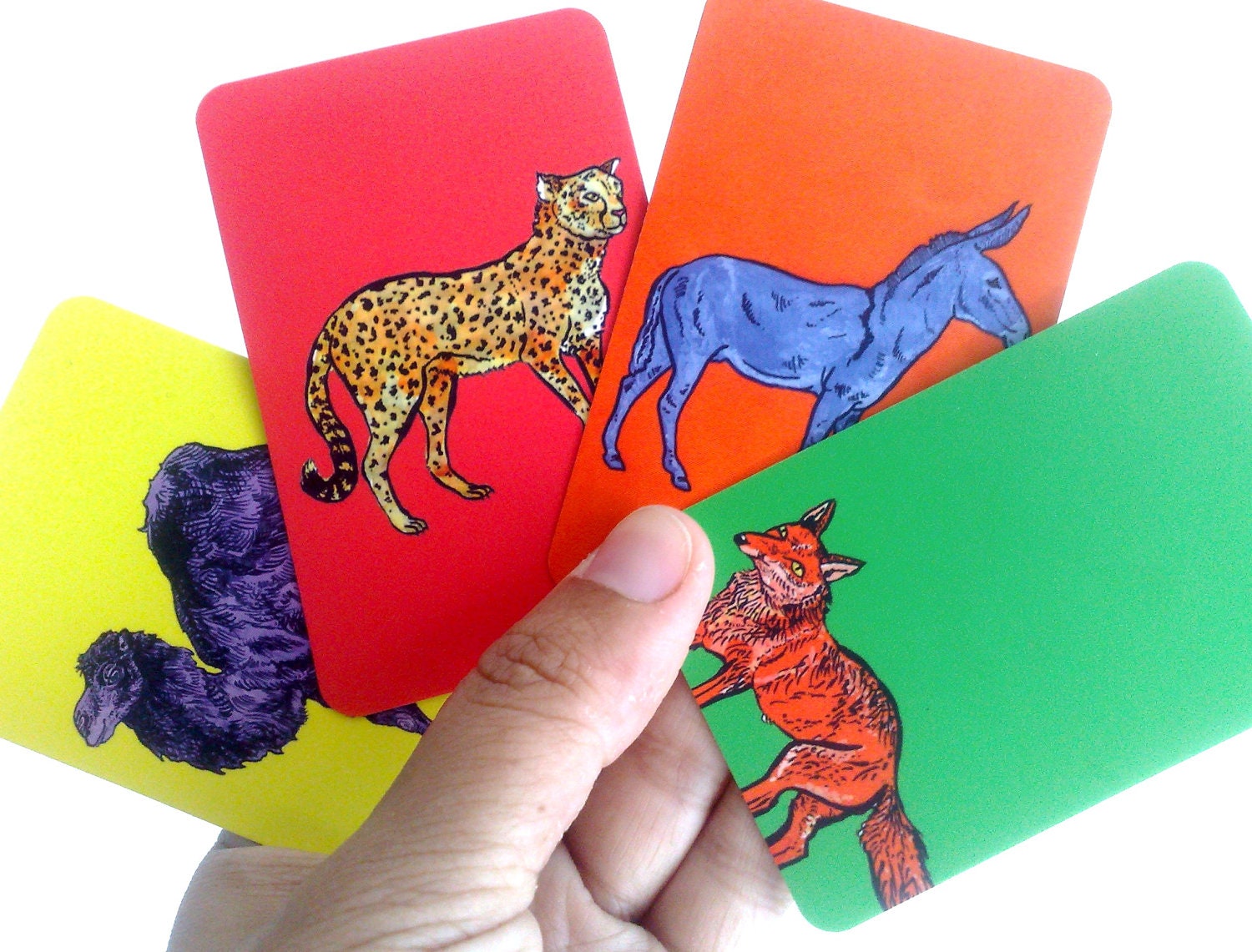 Animal Notecards