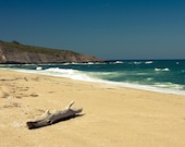 Driftwood summer sea photograph, Shark, Beach sand sea and cliffs 8x10 or 8x12