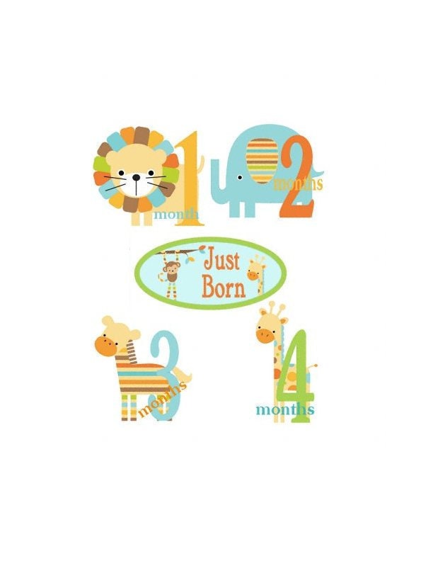 Baby Monthly Onesie Iron On  Transfers - Cute  Animal Cutouts 1 thur 12 months  Plus JUST BORN Q1