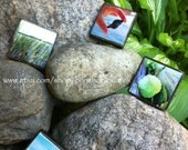 Instagram custom photo tiles or paperweights 2"x2" 1 ea. (these are examples)