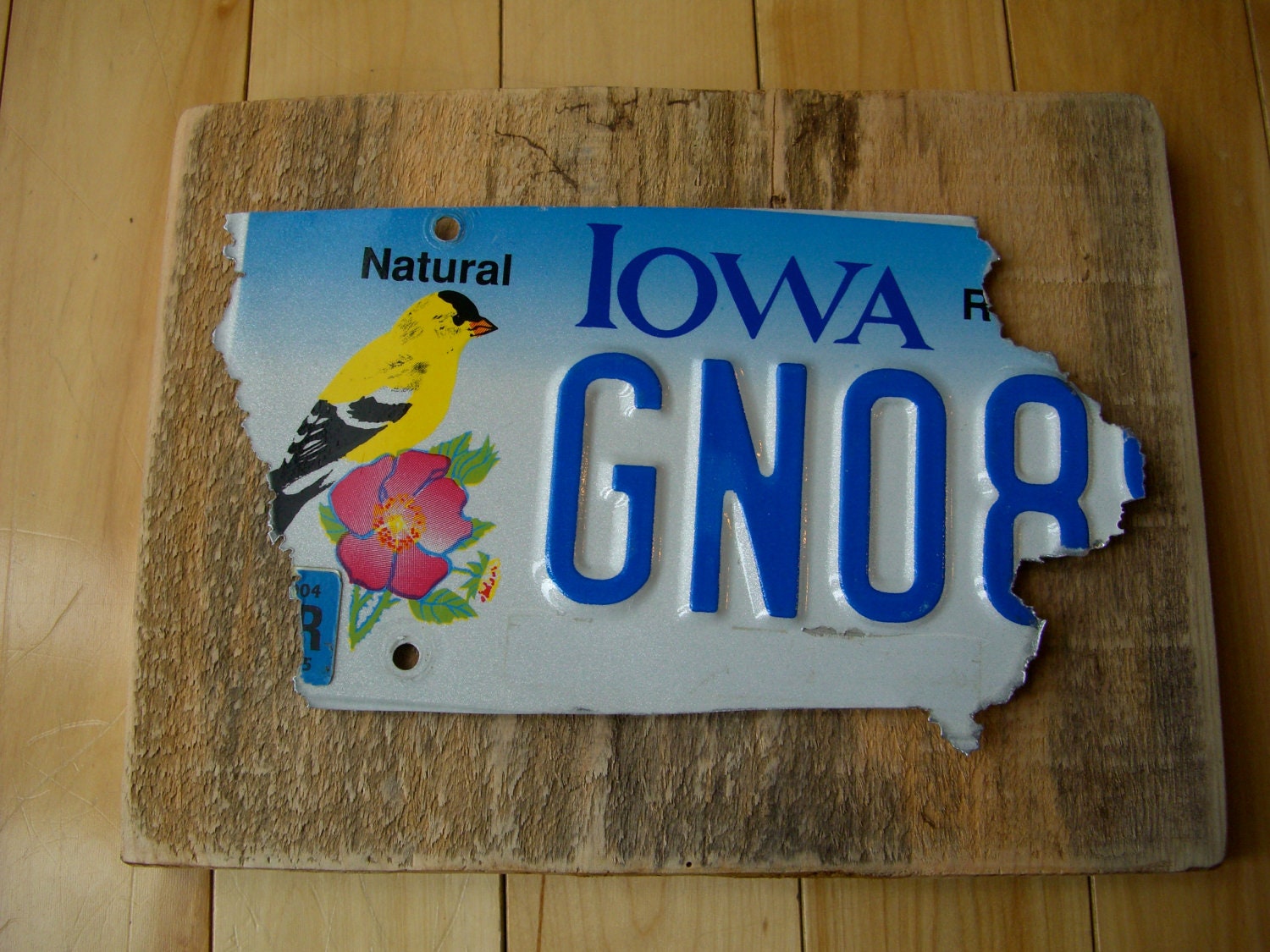 Iowa License Plate