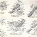 Vintage 1960s Sewing Pattern - Birds of America Embroidery Transfer For Framing, Pillow, Quilt, Etc. - Parade Mail Order 641, Uncut & Unused