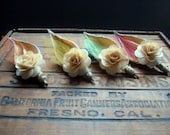 Autumn Birch Flower Pod Boutonniere