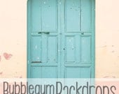 Blue Door Pink Wall - 60" x 60"  - Vinyl Photography  Backdrop Photo Prop