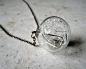Baby's Breath Terrarium Necklace