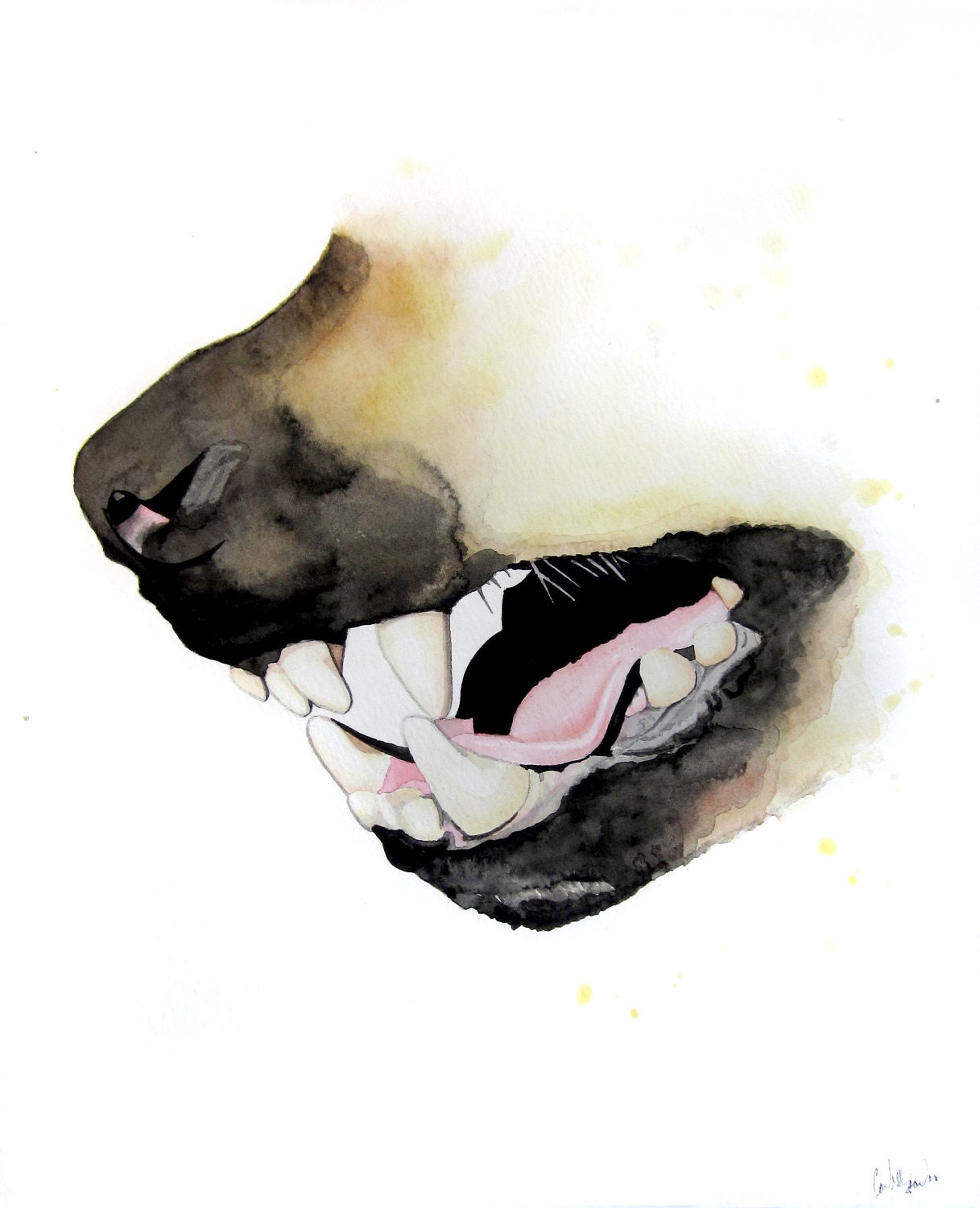Hyena - 8.5" x 11" archival print