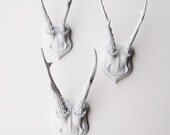 White Faux Taxidermy - Faux Deer Antler Skull Caps - Faux Taxidermy - Set of 3 White Resin Deer Caps - Mounted Deer Antlers