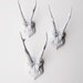 Faux Deer Antler Skull Caps - Faux Taxidermy - Set of 3 White Resin Deer Caps - Mounted Deer Antlers
