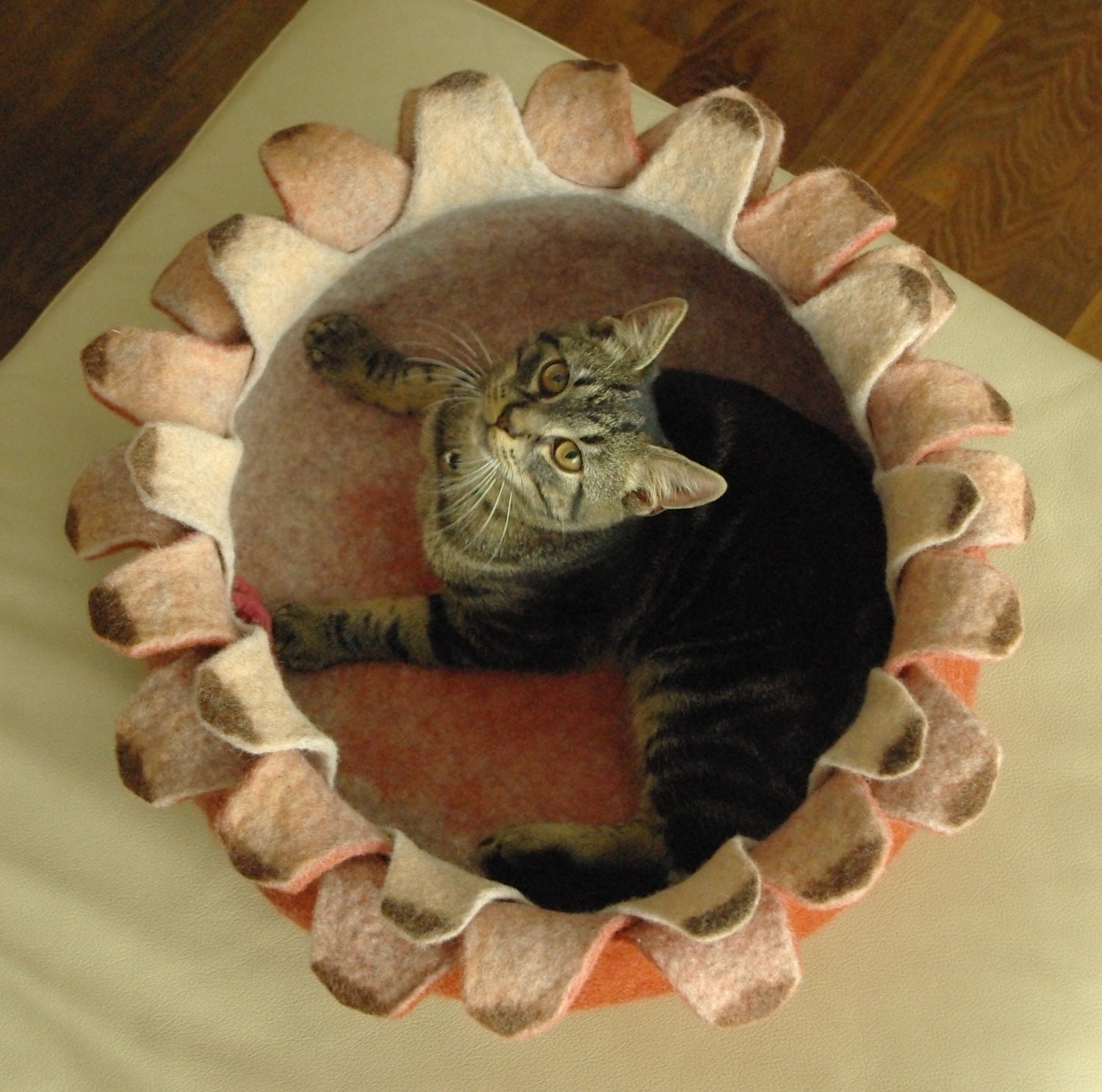 Cat bed/cat house/cat cave/ houseleek felted cat bed