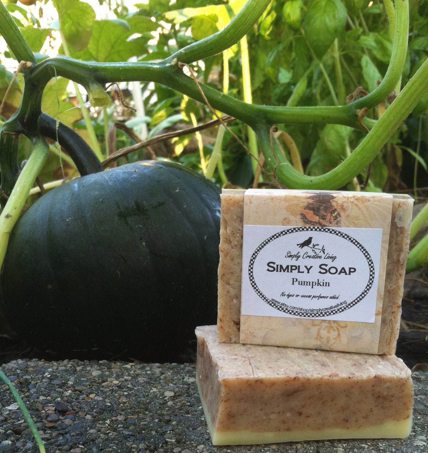 Organic Pumpkin Shea Soap - Vegan