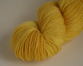 Handpainted 100% Falkland Merino Fingering Weight Yarn "Golden Ochre"