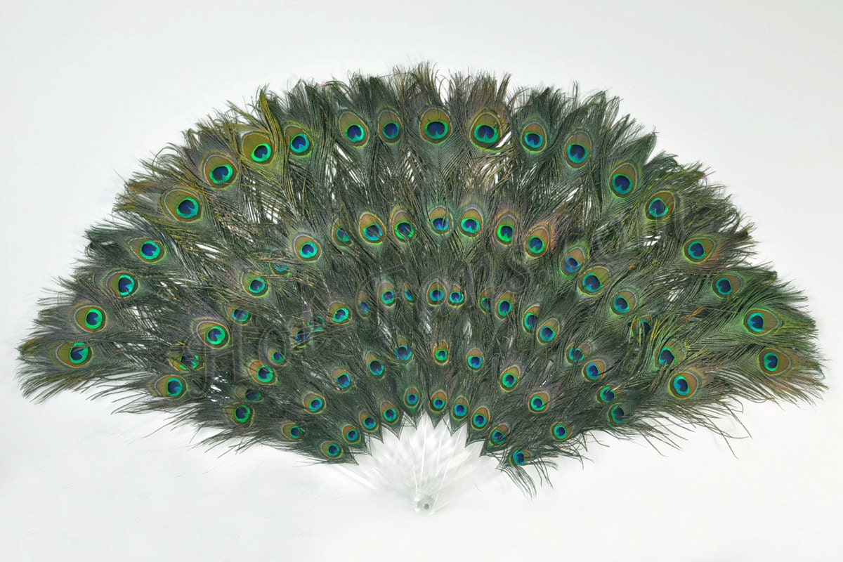 Double sizes Peacock Eyes Feathers Decorative Burlesque Dancing Fans