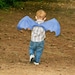 Dragon Wings