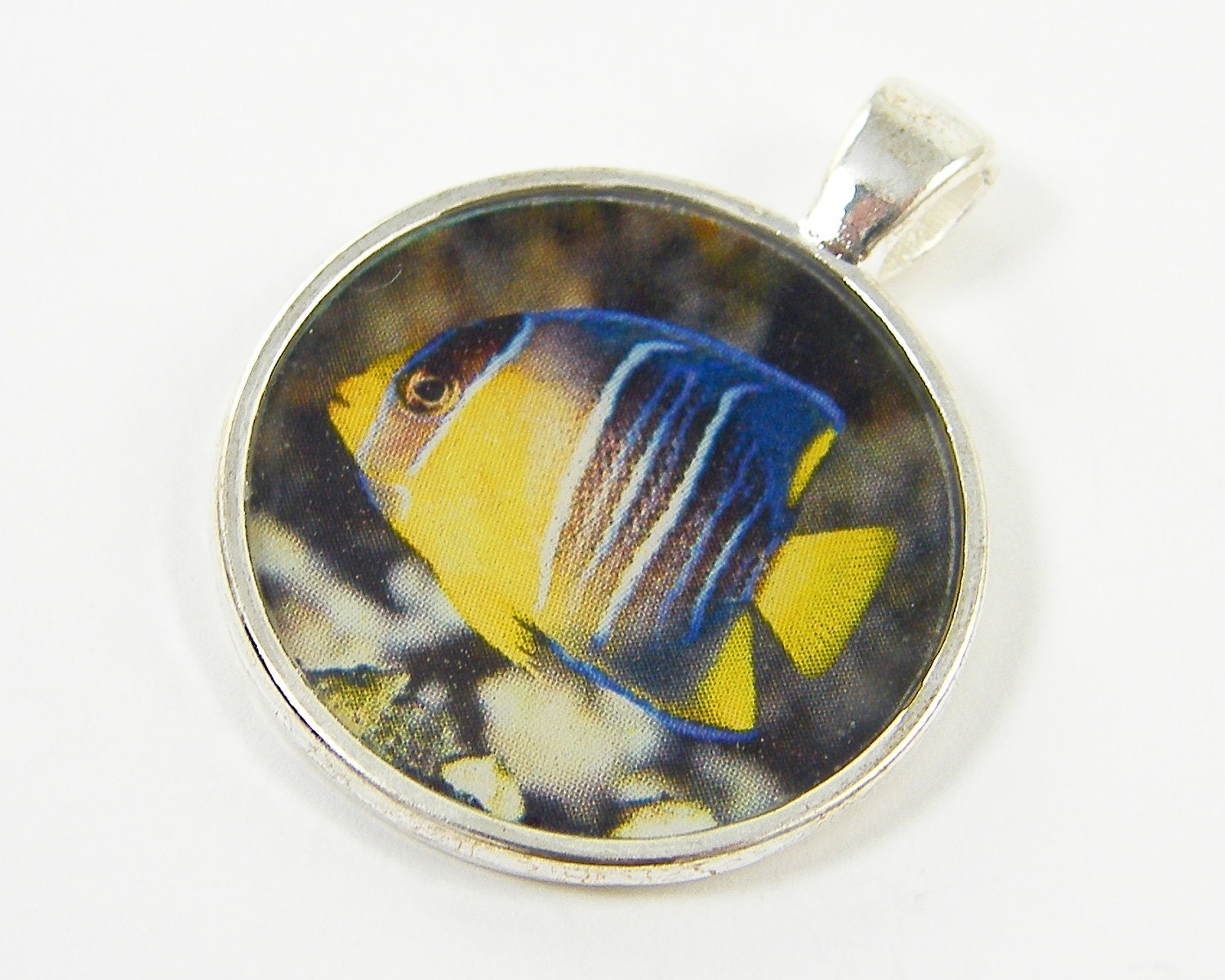 Fish Jewelry - Blue Yellow Fish Marine Sea Life Resin Nature Photo Pendant
