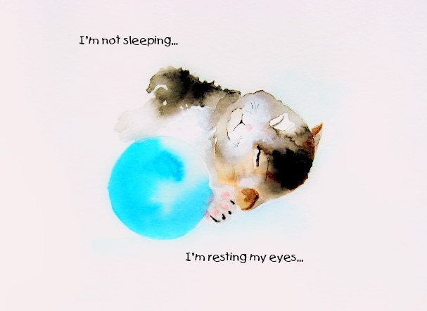 Signed Funny Cat Art Print: I'm not sleeping I'm resting my eyes