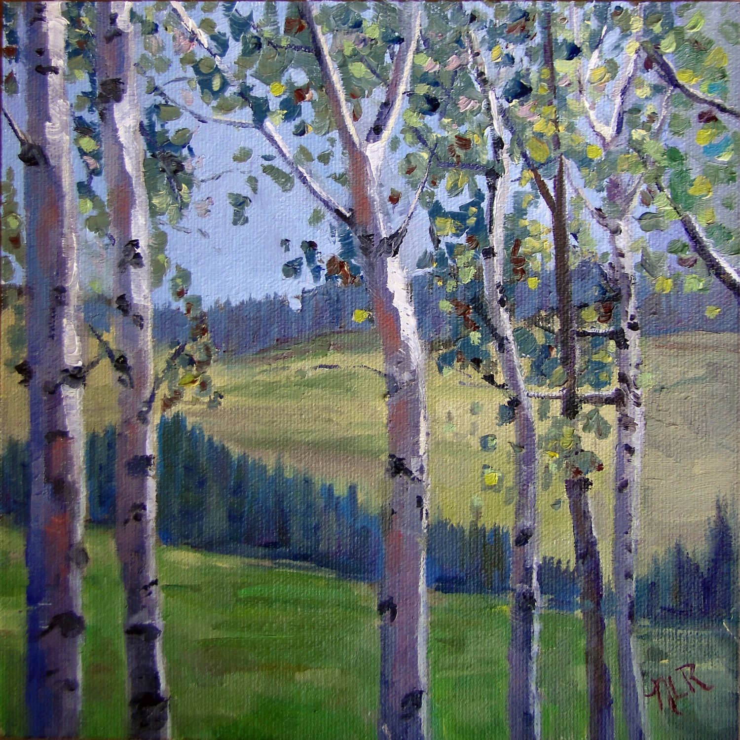 Original aspen tree oil painting "Through the Aspens" 8 x 8