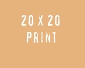 20X20