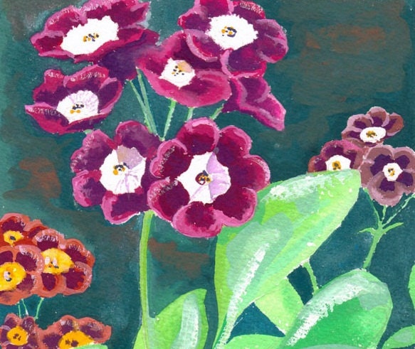Auricula flower card, note card and envelope