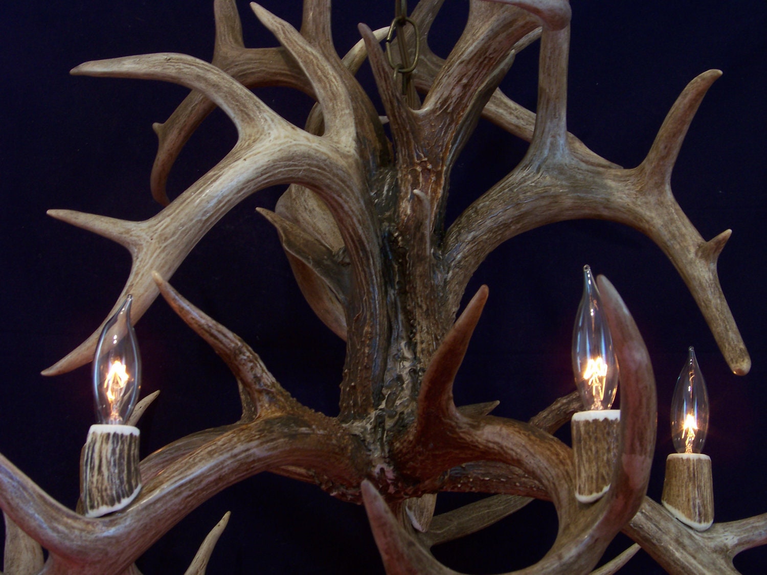 Legend Antler Designs "Fountain" Whitetail Deer Antler Chandelier Light Lamp Fixture