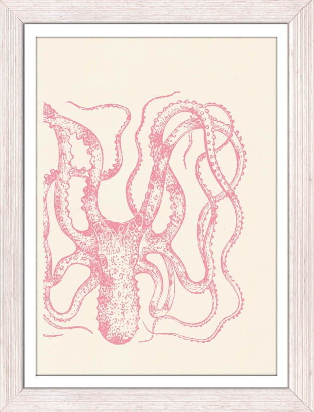 Wall decor poster Vintage octopus n12 - seaside print- vintage natural history print