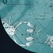 Scorpius Constellation Stars Map Zodiac Print Vintage Image