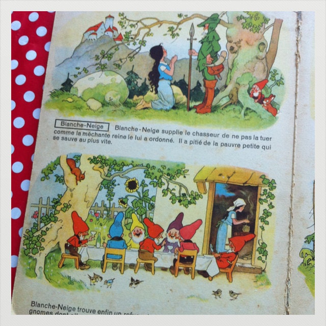 French vintage children fairy tales book- Perrault