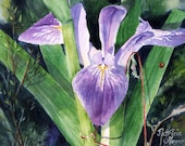ACEO Fine Art Print Of Original Watercolor / By Patricia Heyer Of A Blue Flag Iris / Size 2.5x3.5 inches.