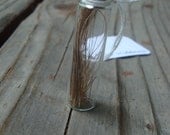 Warthog Curiousity Vial / Totem Charm, Good for Necklace, Keychain, etc.