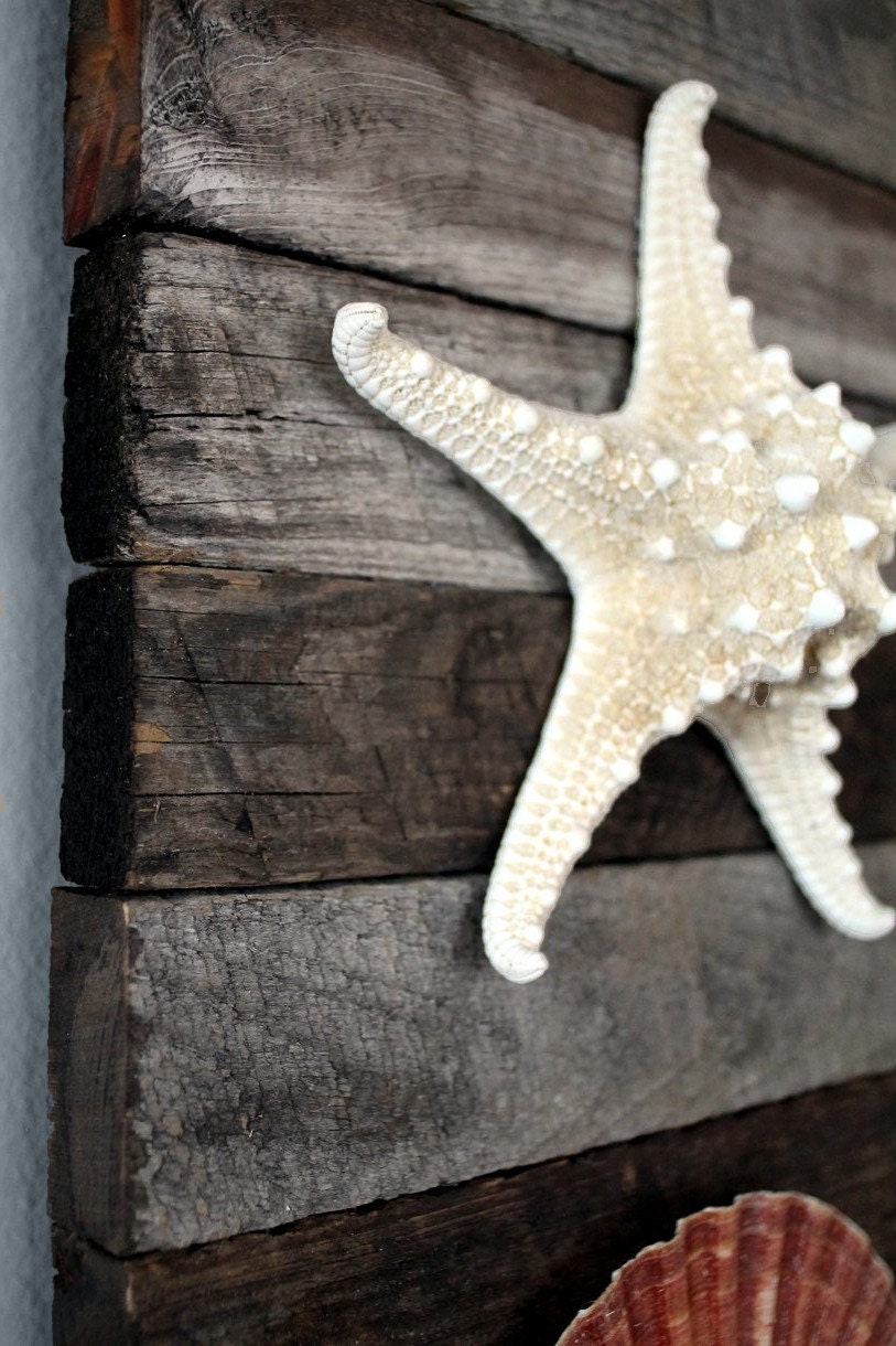 Coastal Decor Driftwood Art of Starfish Beach Decor