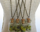 You are my World....Tiny Live Terrarium Necklace  Air Plant, Moss, Magic little live necklace