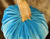 Velvet PUMPKIN - Real Stem - Single - Turquoise
