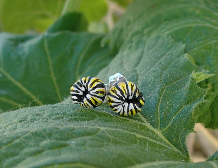 Caterpillar Jewelry - Monarch Caterpillar Stud Earrings - Polymer Clay Caterpillar - Made to Order