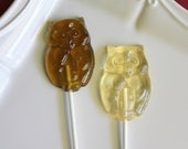 Harry Potter Party Favors OWL Barley Sugar Hard Candy Lollipops Birthday Party Favors
