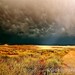 Landscape Photography, Dramatic Clouds Photo, Storm in High Desert Photo, Utah Landscape, Fine Art Photography, Wall Art, Home Decor