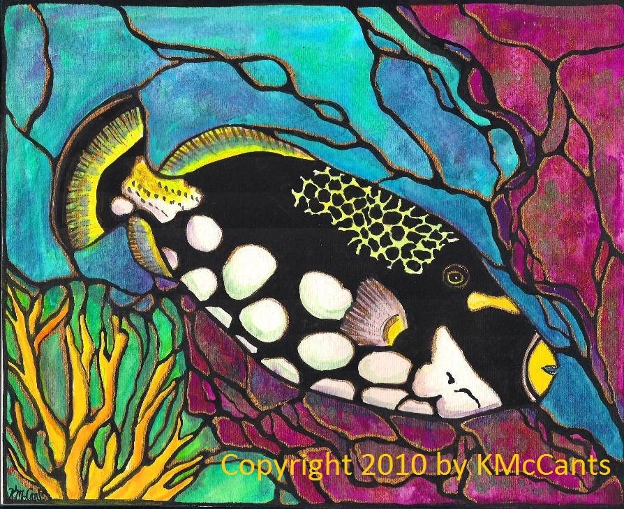 Cool Coral Reef