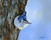 White Breasted Nuthatch, Giclee Canvas Print - Brushworksbb