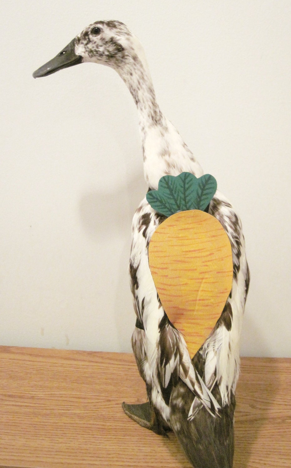 PartyFowl "Carrot" Costume for Pet Ducks, Chickens, & Geese